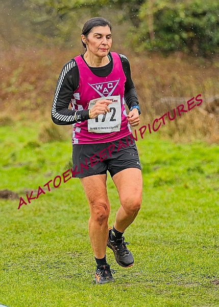 20250105ANXC29024B00413A.JPG