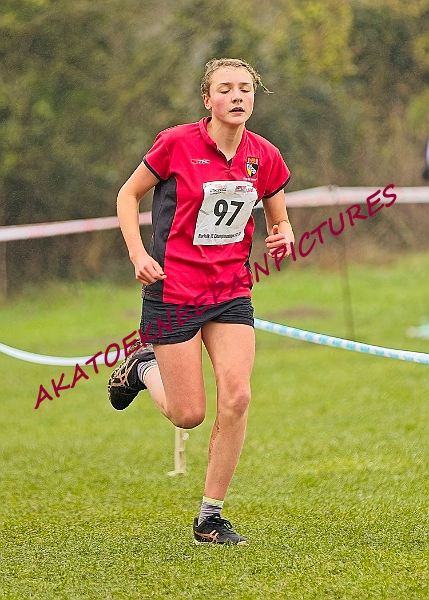 20250105ANXC2025A00309A.jpg