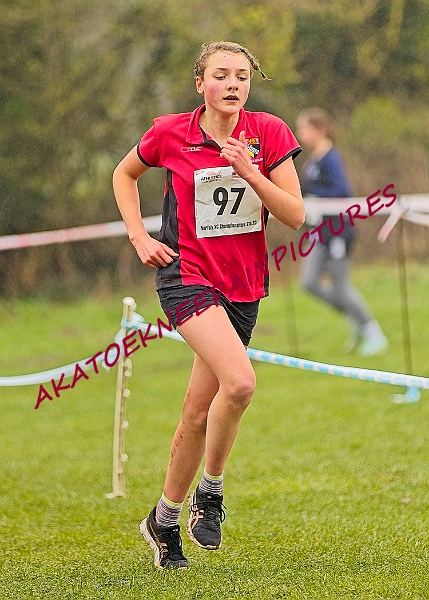 20250105ANXC2025A00310A.jpg