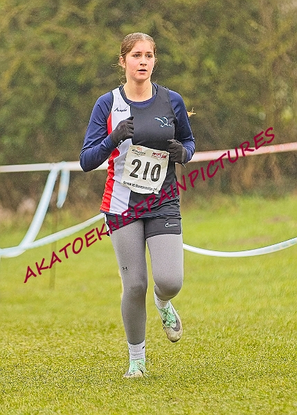 20250105ANXC2025A00313A.jpg