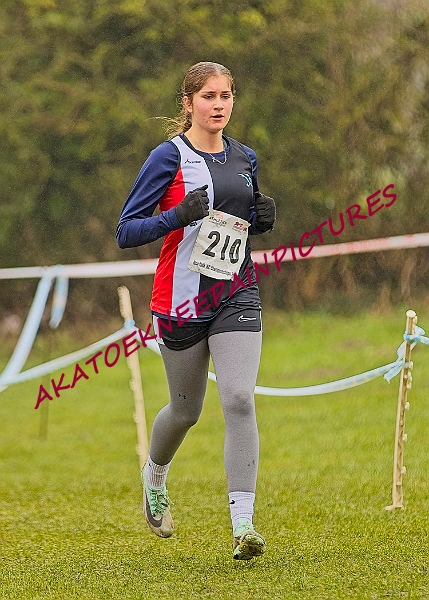 20250105ANXC2025A00314A.jpg