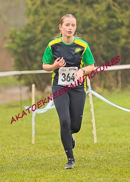 20250105ANXC2025A00315A.jpg