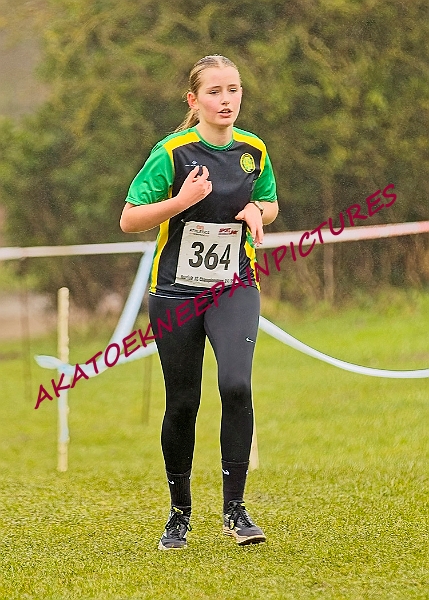 20250105ANXC2025A00316A.jpg