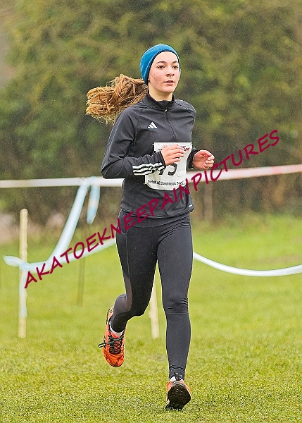 20250105ANXC2025A00317A.jpg