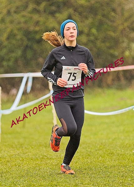 20250105ANXC2025A00318A.jpg