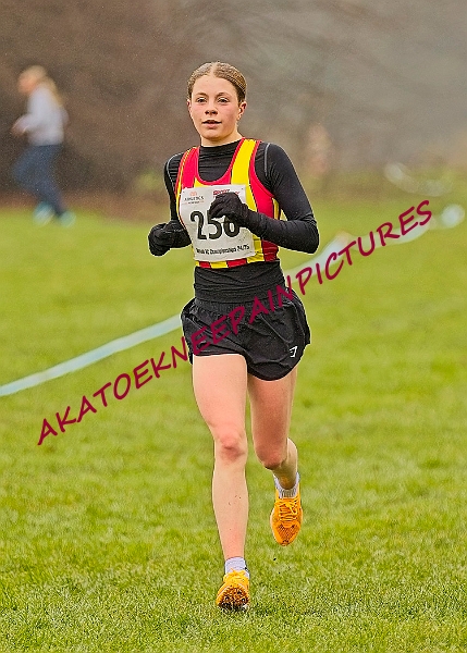 20250105ANXC2025A00353A.jpg
