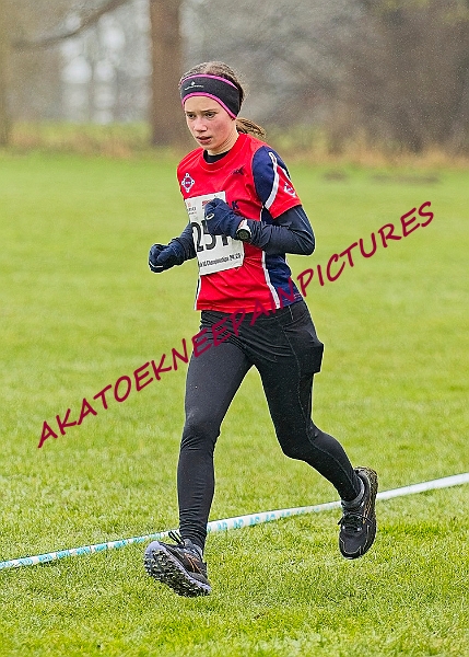 20250105ANXC2025A00369A.jpg