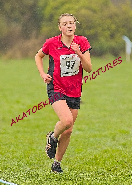 20250105ANXC2025A00376A.jpg