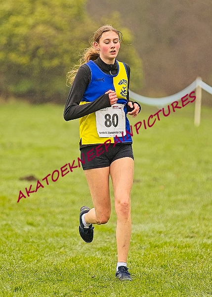 20250105ANXC2025A00379A.jpg