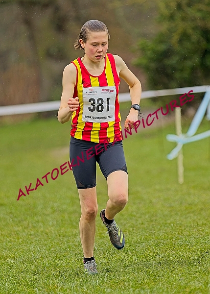 20250105ANXC2025A00400A.jpg