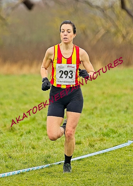 20250105ANXC29024B00469A.JPG