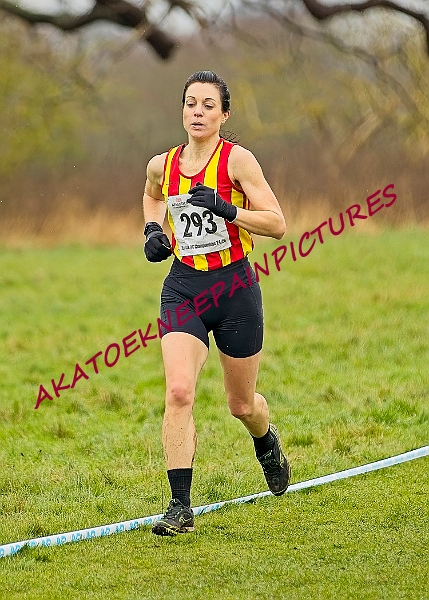 20250105ANXC29024B00470A.JPG