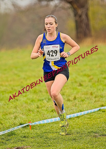 20250105ANXC29024B00473A.JPG