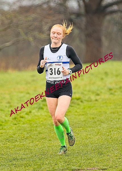 20250105ANXC29024B00482A.JPG
