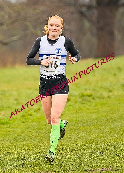 20250105ANXC29024B00483A.JPG