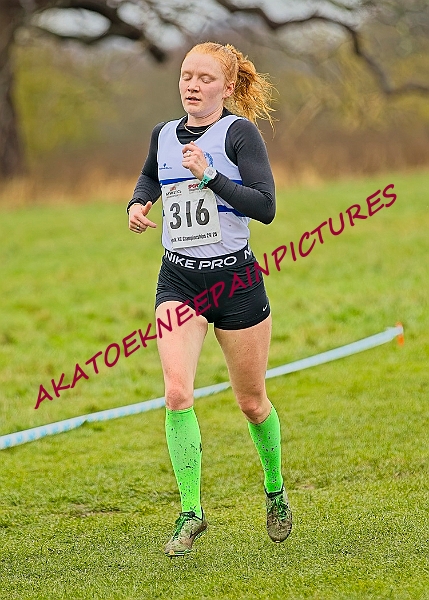 20250105ANXC29024B00486A.JPG