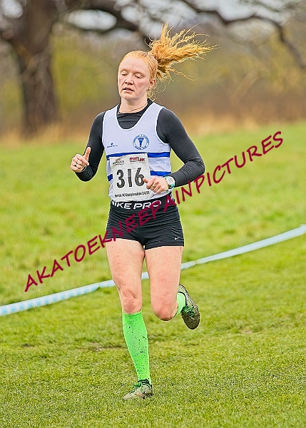 20250105ANXC29024B00487A.JPG
