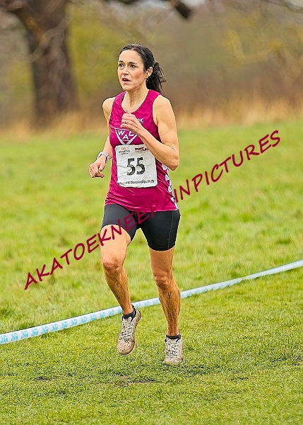 20250105ANXC29024B00491A.JPG