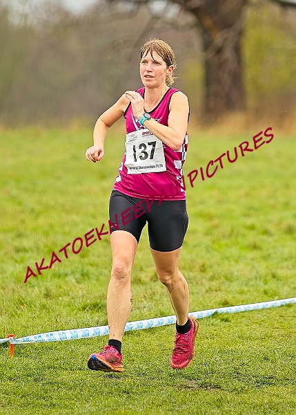 20250105ANXC29024B00516A.JPG