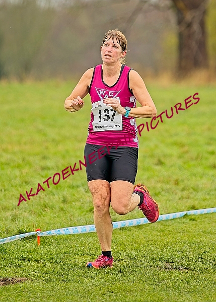 20250105ANXC29024B00517A.JPG