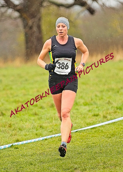 20250105ANXC29024B00522A.JPG