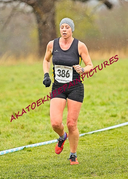 20250105ANXC29024B00523A.JPG