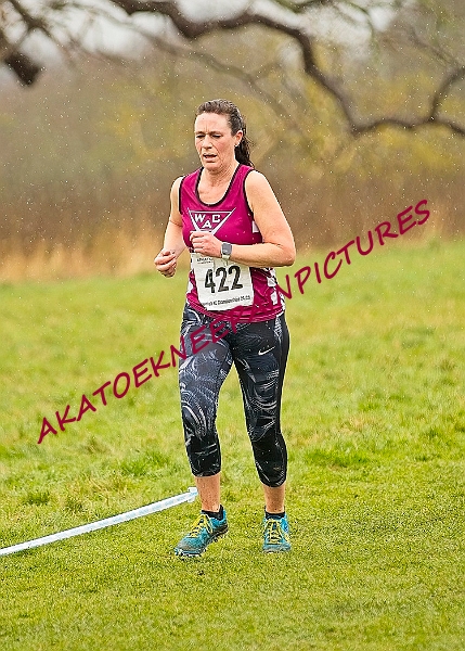 20250105ANXC29024B00529A.JPG