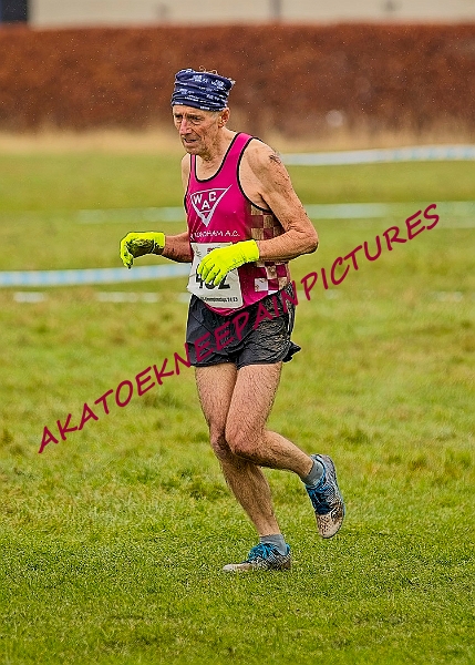 20250105ANXC29024B00534A.JPG