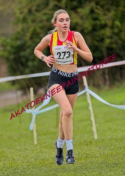 20250105ANXC2025A00417A.jpg