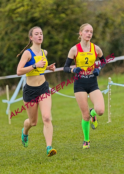20250105ANXC2025A00421A.jpg