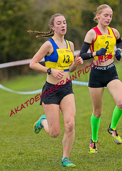 20250105ANXC2025A00423A.jpg