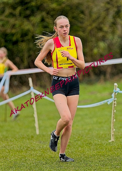 20250105ANXC2025A00429A.jpg