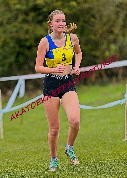 20250105ANXC2025A00439A.jpg