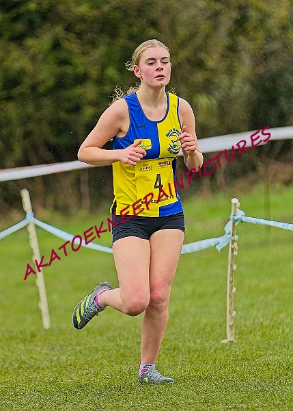 20250105ANXC2025A00442A.jpg