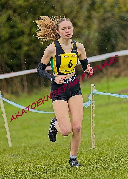 20250105ANXC2025A00444A.jpg