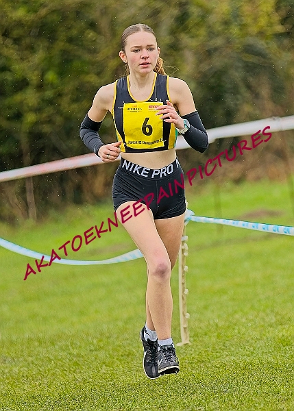 20250105ANXC2025A00445A.jpg