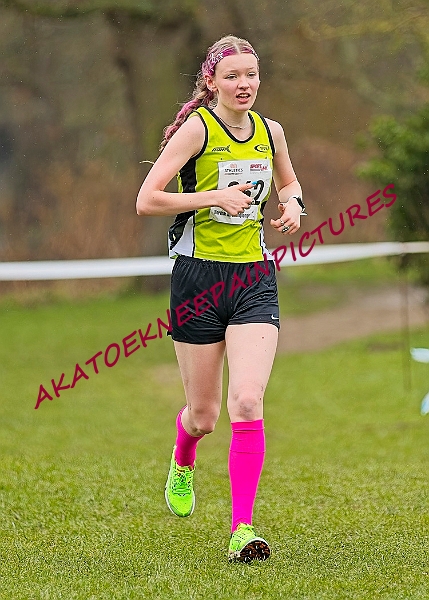 20250105ANXC2025A00446A.jpg