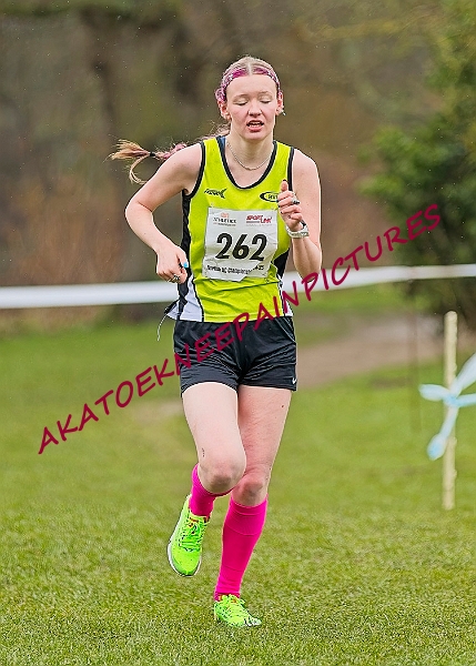 20250105ANXC2025A00447A.jpg