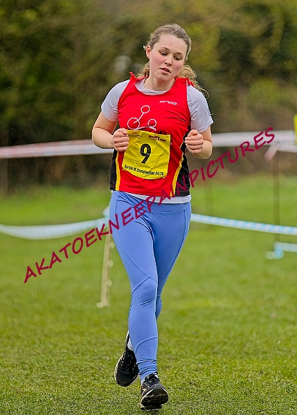 20250105ANXC2025A00451A.jpg