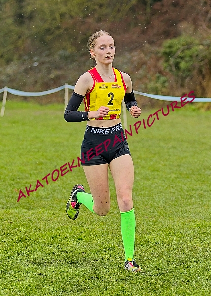 20250105ANXC2025A00504A.jpg