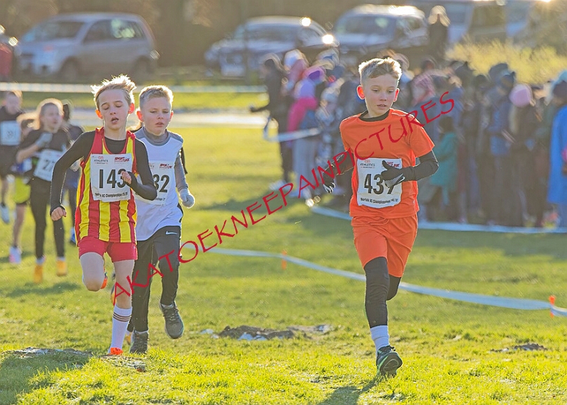 20260104 ANXCA00016A.JPG