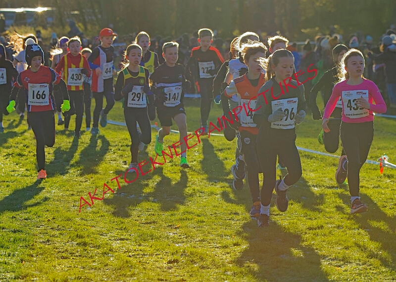 20260104 ANXCA00047A.JPG