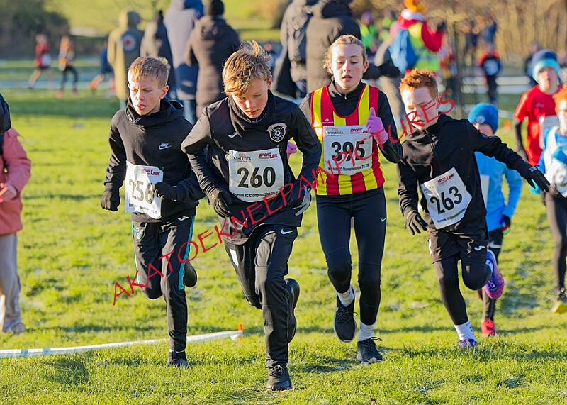 20260104 ANXCA00155A.JPG