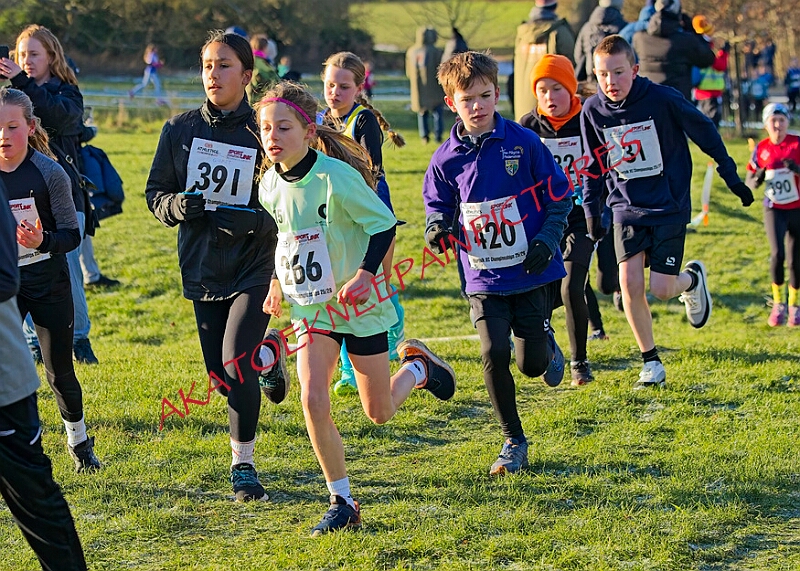 20260104 ANXCA00173A.JPG