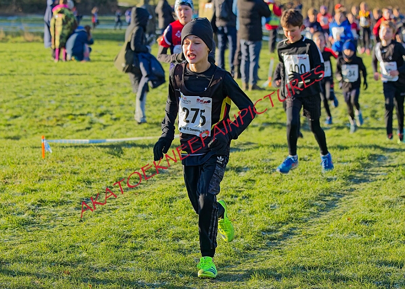 20260104 ANXCA00181A.JPG