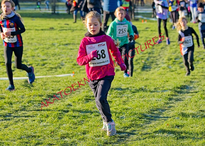 20260104 ANXCA00224A.JPG