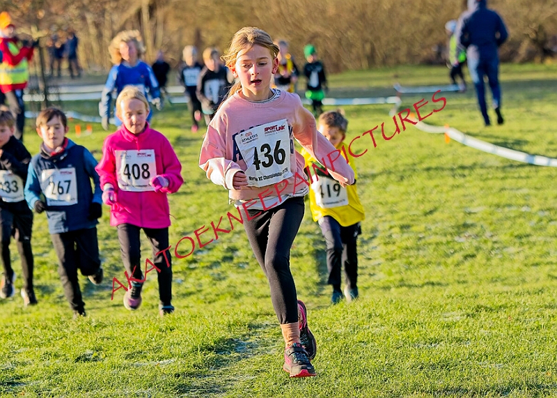 20260104 ANXCA00246A.JPG