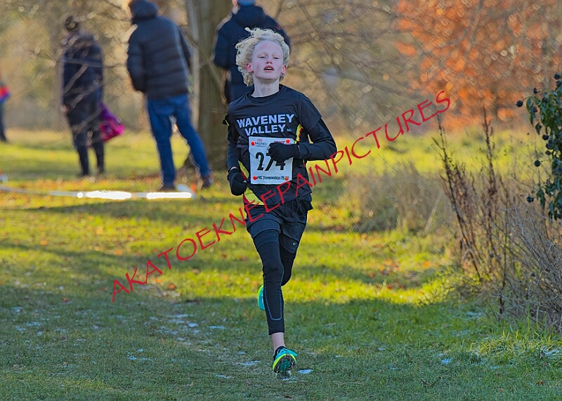 20260104 ANXCA00348A.JPG