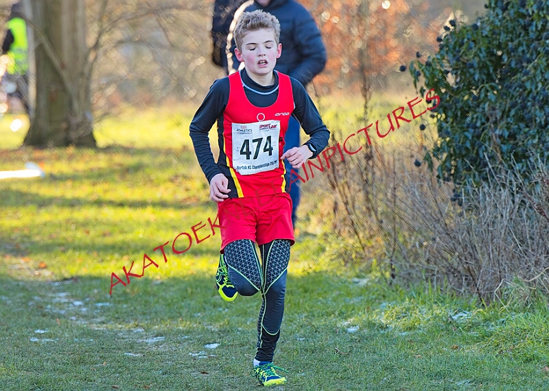 20260104 ANXCA00379A.JPG