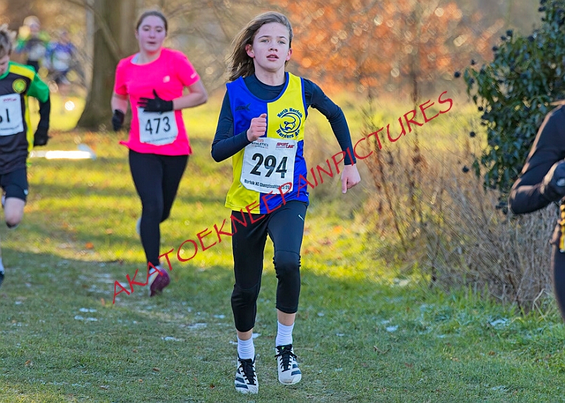 20260104 ANXCA00431A.JPG